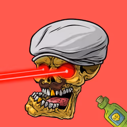 CrazySkull #1719