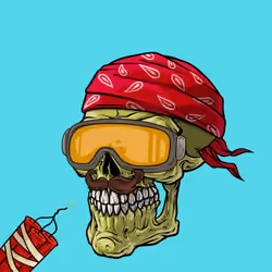 CrazySkull #5629