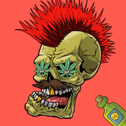 CrazySkull #8940