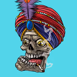 CrazySkull #6728