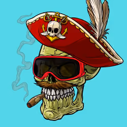 CrazySkull #8611