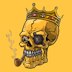 CrazySkull #8340