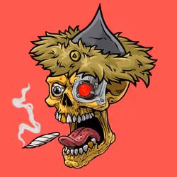 CrazySkull #2413