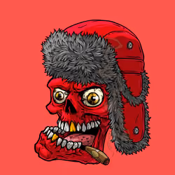 CrazySkull #5875