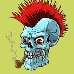 CrazySkull #9880