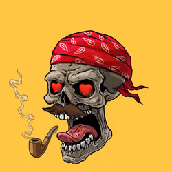 CrazySkull #2541