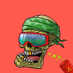 CrazySkull #2426