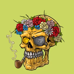 CrazySkull #5657