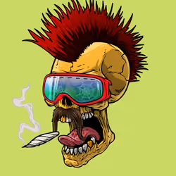 CrazySkull #8136