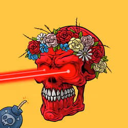 CrazySkull #1640