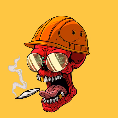 CrazySkull #1578