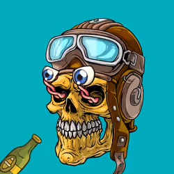 CrazySkull #8473