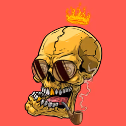 CrazySkull #7892