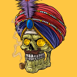CrazySkull #8986