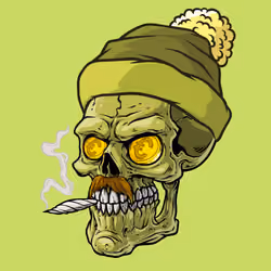 CrazySkull #4678