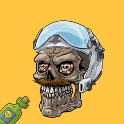 CrazySkull #1508