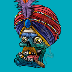 CrazySkull #4835