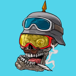 CrazySkull #3429