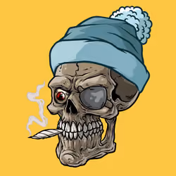 CrazySkull #5264