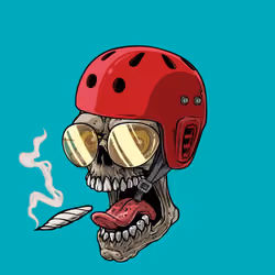 CrazySkull #2183