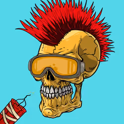 CrazySkull #5831