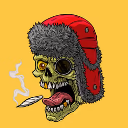 CrazySkull #8808