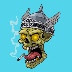 CrazySkull #4836