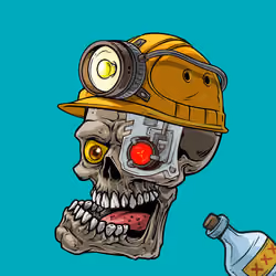 CrazySkull #5506