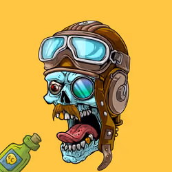 CrazySkull #8548