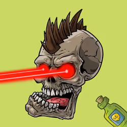 CrazySkull #5633