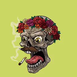 CrazySkull #5751