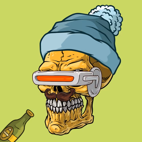 CrazySkull #6482