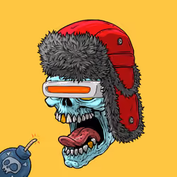 CrazySkull #9334