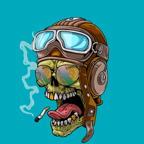 CrazySkull #4620