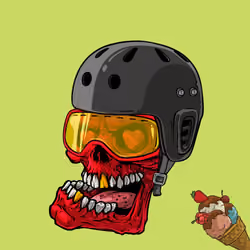 CrazySkull #2465
