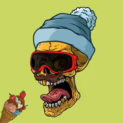 CrazySkull #4613