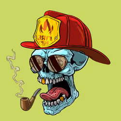 CrazySkull #2443