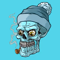 CrazySkull #8815