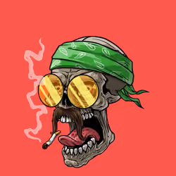 CrazySkull #8301