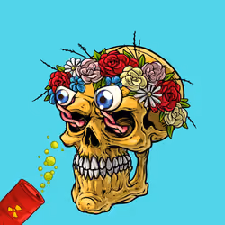 CrazySkull #8316