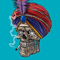 CrazySkull #5070