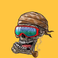 CrazySkull #1725