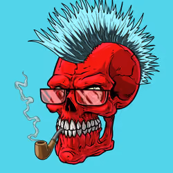 CrazySkull #4416