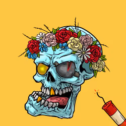 CrazySkull #5542