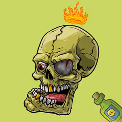 CrazySkull #9452