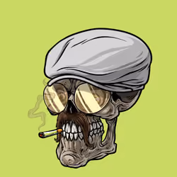 CrazySkull #7351