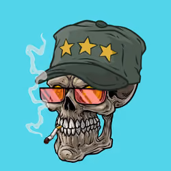 CrazySkull #6528