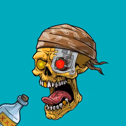 CrazySkull #6892