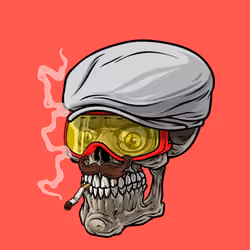 CrazySkull #5853