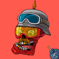 CrazySkull #4196